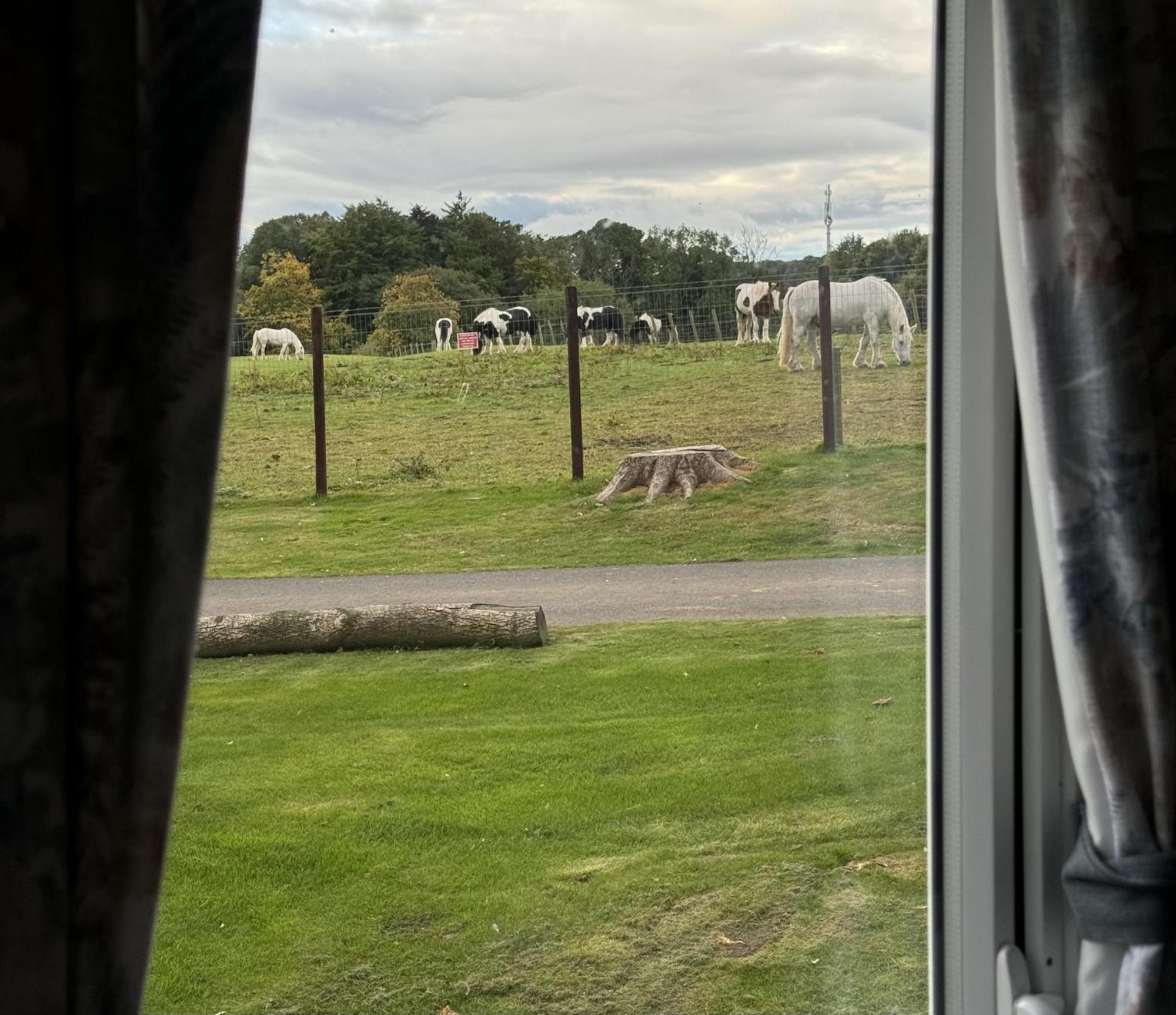 Pony Gate Caravan On Haggerstone Castle West Lawn Berwick Upon Tweed Ngoại thất bức ảnh